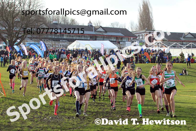 Girls under-15s 2022 Northern Cross Country Champs., Pontefract. Photo: David T. Hewitson/Sports for All Pics